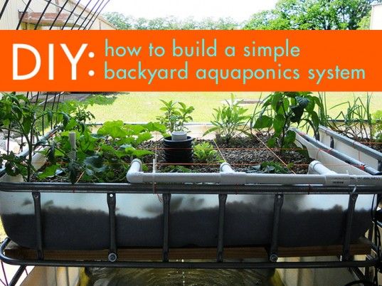 DIY Aquaponics