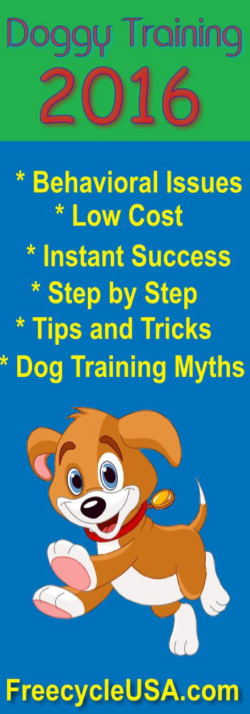 Online Dog Training