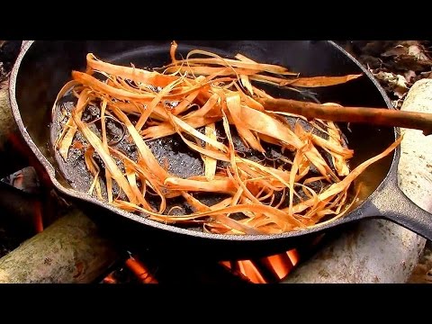 Wild Edibles- Tree Bark- Cambium- Emergency Food