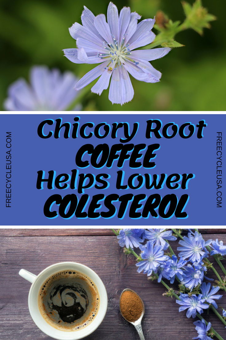 Chicory Root Coffee