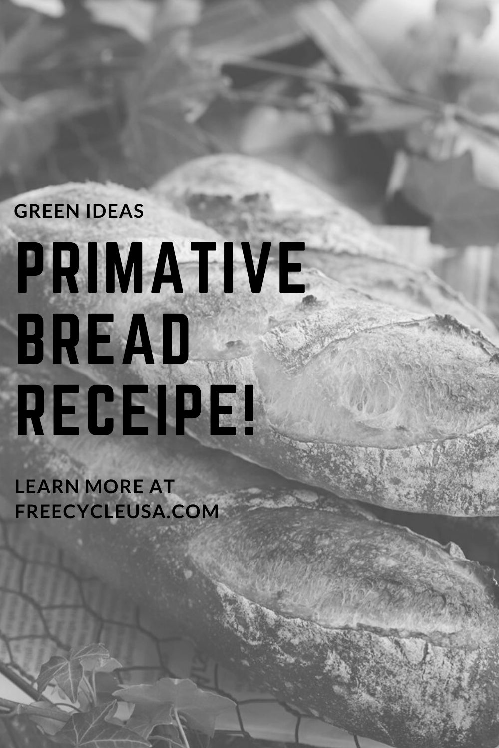 PRIMATIVE BREAD RECEIPE!